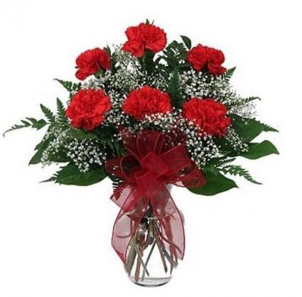 Half Dozen Carnations Vase Arrangement
