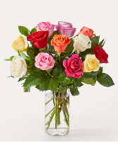 Half Dozen Colorful Roses vase