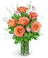 Half Dozen Free Spirit Rose Symphony Flower Arrangement