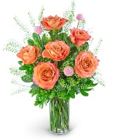 Half Dozen Free Spirit Rose Symphony Flower Arrangement