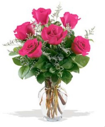 Half Dozen Hot Pink Roses Arrangement in Fort Worth, TX | DARLA'S FLORIST Half Dozen Hot Pink Roses Arrangement in Fort Worth, TX | DARLA'S FLORIST
