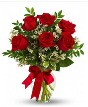 Half Dozen LONG Stem Red Roses Other colors available