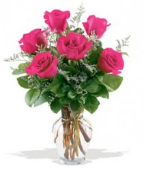 Half Dozen Pink 50.95 60.95