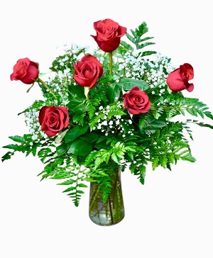 Half Dozen Red, White or Pink Roses Choose your color