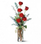 Half Dozen Red Roses Vase Arrangement