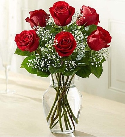 HALF DOZEN RED ROSES 