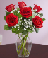 Half Dozen Red Roses 