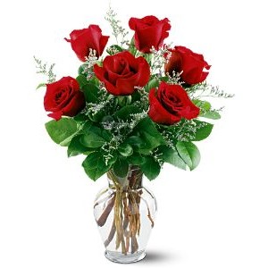 Half Dozen Red Roses in a Vase 