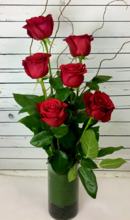 Classic Stylized Half A Dozen Red Roses Roses
