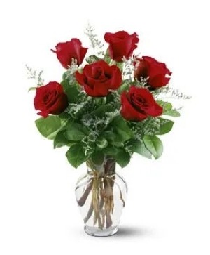 half Dozen Red Roses vase