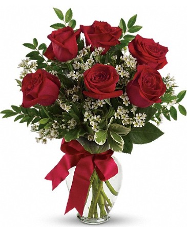 Half Dozen Red Roses vase in Spokane, WA | FOUR SEASONS PLANT & FLOWER SHOP