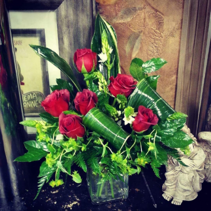 Half Dozen Reds Romance