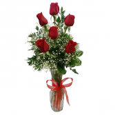 Half Dozen Roses (RED SOLD OUT) Color available, PINK, WHITE, FREESPIRITS