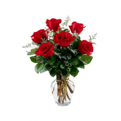 Half Dozen Roses Half Dozen Red Roses