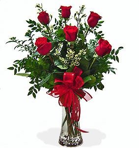 HALF DOZEN ROSES in Mcminnville, OR - POSEYLAND FLORIST