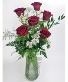 Half Dozen Roses 