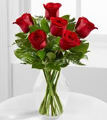 Half Dozen Roses Arrangement