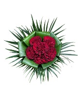 Half Dozen Roses  Hand Tie