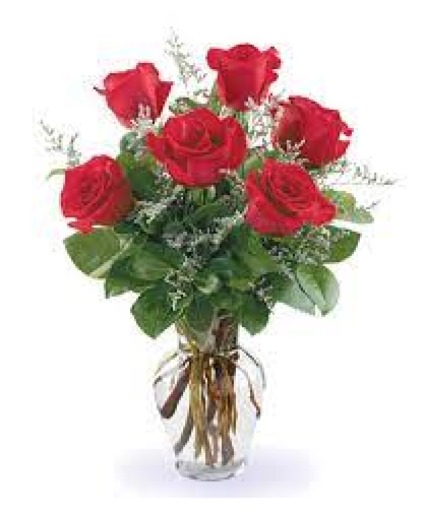 Half Dozen Roses Rose Arrangement