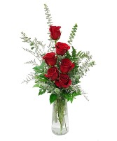 Half Dozen Colored Roses-Rose month Special  Roses