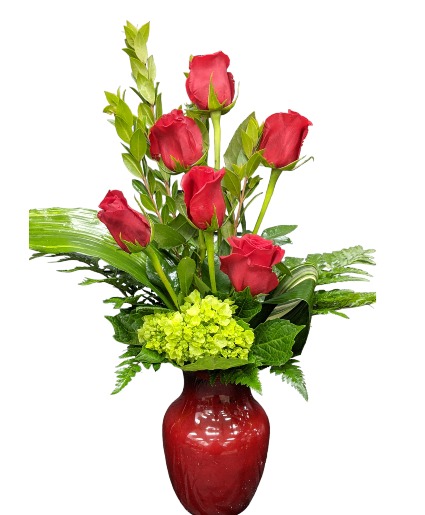 Half Dozen RED Roses w green hydrangea vase