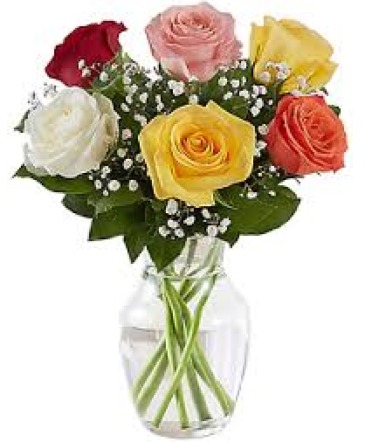 Half Dozen Roses VASE ARRANGEMENT in Stanley, VA | Stanley Flower Shop & More