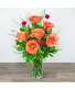 Half Dozen Wild and Free Spirit Roses 