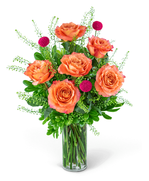 Half Dozen Wild and Free Spirit Roses  FCFS-04