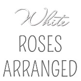 Half, Full, or Two Dozen White Roses Arranged 