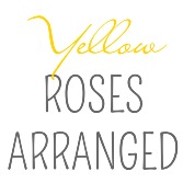 Half, Full, or Two Dozen Yellow Roses Arranged 