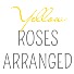Half, Full, or Two Dozen Yellow Roses Arranged 