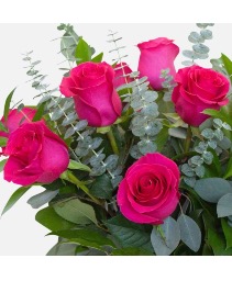 Half of dozen hot pink color Magenta love