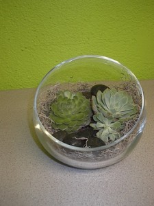 Half Sphere with vase with silk succulents Gifts