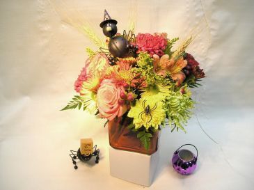 Halloween Cube Design Margot's Delivery Area Only