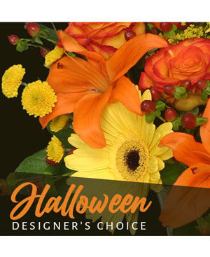 Halloween Designer's Choice
