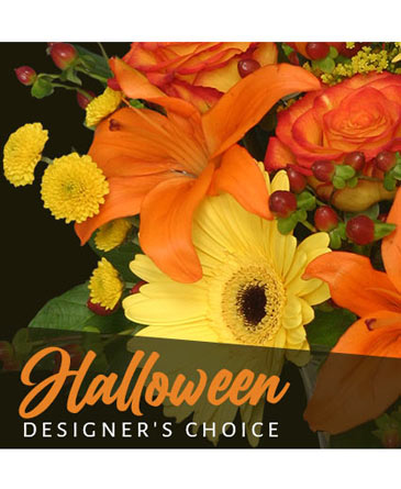 Halloween Designer's Choice in Franklin, VT | FLOWERS BY JENNY