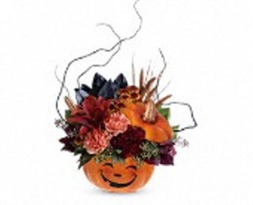 Halloween Magic Pumpkin Hoilday, Halloween