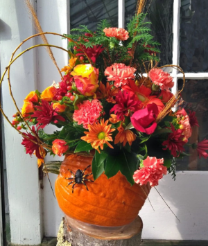 Halloween Pumpkin Arrangement in North Adams, MA | MOUNT WILLIAMS GREENHOUSES INC Halloween Pumpkin Arrangement in North Adams, MA | MOUNT WILLIAMS GREENHOUSES INC