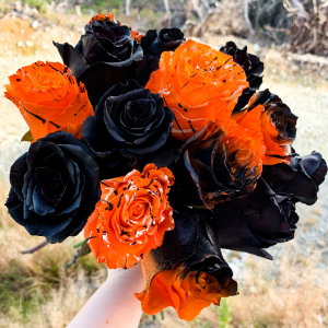 Halloween Rose Dozen Limited Time! in Mount Pearl, NL | MOUNT PEARL FLORIST Halloween Rose Dozen Limited Time! in Mount Pearl, NL | MOUNT PEARL FLORIST