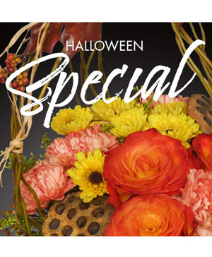 Download Halloween Flowers Barberton Oh Flowers Galore More