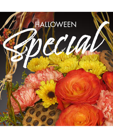 Halloween Special Designer's Choice in Houston, TX | BOUQUETS & ETC BY BETTY