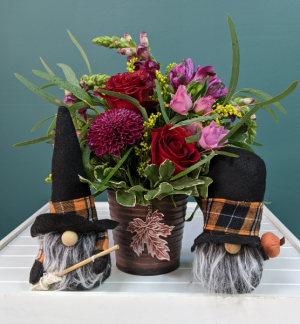 Jane's Halloween Witch & Warlock Gnome Bundle in Lagrange, GA | BY SPECIAL ARRANGEMENT Jane's Halloween Witch & Warlock Gnome Bundle in Lagrange, GA | BY SPECIAL ARRANGEMENT