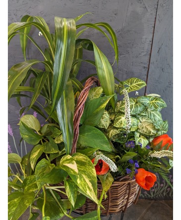 Hamper of Hope flowers and plants in Coralville, IA | Every Bloomin' Thing
