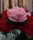 Hand Crochet Chunky Yarn Rose Gift