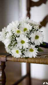  Hand Held Solid White Daisy