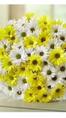  Hand Held Yellow and White daisy bouquet