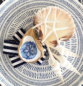 Hand Painted Oyster Shell Sand Dollar