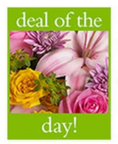 Hand tied bouquet (cut flowers) No vase - hand tied