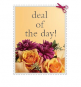 Hand Tied Cut Flowers  Hand tied cut flowers NO VASE. 