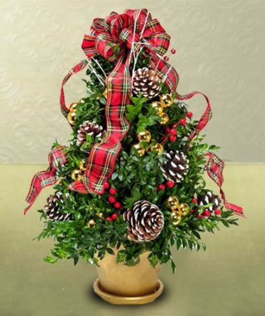 Handmade Boxwood Tree Arrangment , WE can custom colors